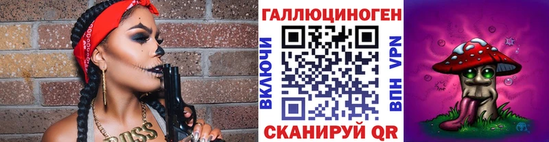 Купить закладки  Няндома  Псилоцибиновые грибы мицелий 